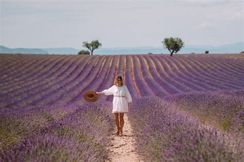 South of France: Provence Guide - Find Us Lost