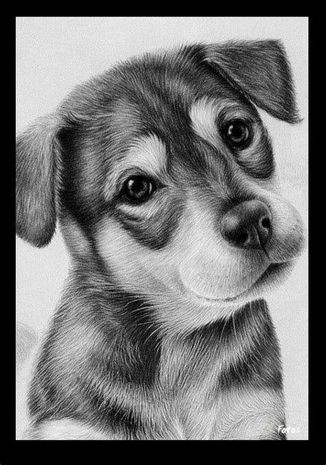 Puppy Pencil Drawing Dog Portrait Drawing Animal Draw - vrogue.co