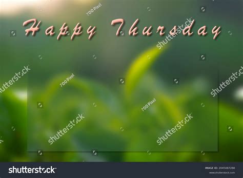 Happy Thursday Text Greeting Banner Poster Stock Photo 2045087288 ...