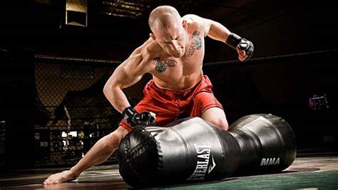 The Components Of Your MMA Training - The Arena