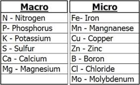 Macronutrients and Micronutrients for Plants - Microfarm Organic Gardens Blog - Microfarm ...