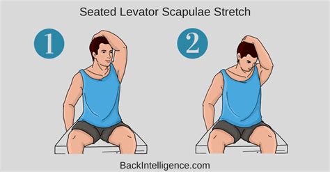 Upper Trapezius And Levator Scapula Stretch