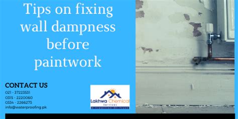 Tips on fixing wall dampness before paintwork - Waterproofing Services