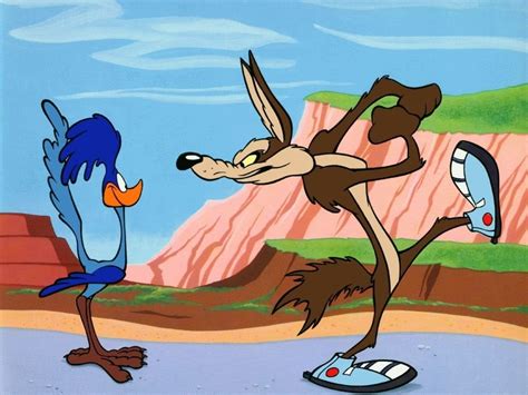 360x640 resolution | Road Runner and Willie Cayote, Wile E. Coyote, Road Runner, cartoon, Looney ...