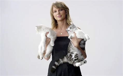 Taylor Swift’s cats help promote her concert film / PetsPyjamas