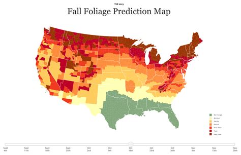 Here's When Fall Foliage Will Hit Its Peak in New York City for 2023 | Viewing NYC