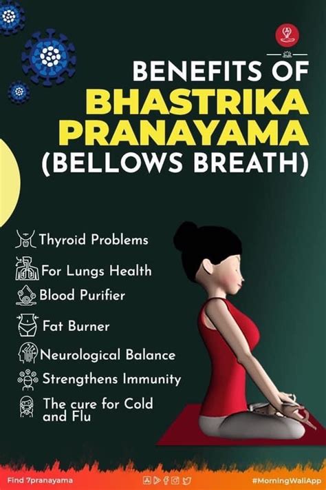 the benefits of bhastrika pranayama below's breath info