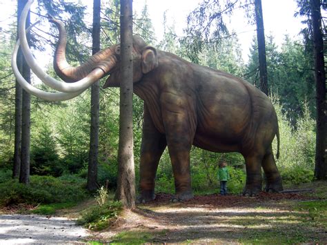 Tiedosto:Mammoth Mammut model.JPG – Wikipedia