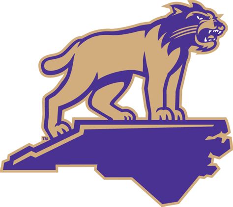 Western Carolina Catamounts Secondary Logo History | Catamount, Western ...