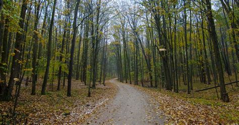 Huron-Manistee National Forests, Michigan | Roadtrippers