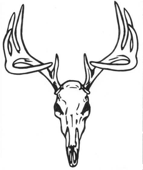 Free Skull Antlers Cliparts, Download Free Skull Antlers Cliparts png images, Free ClipArts on ...