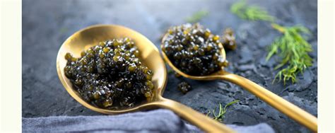 9 Fun Facts About Caviar | The Good Food Network