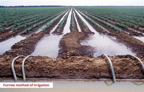 Furrow Irrigation Method - Types, Uses, Advantages and Disadvantages