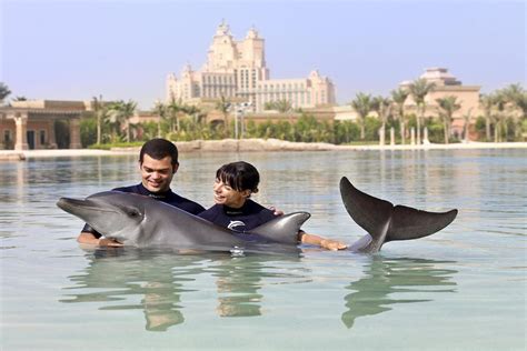 Swimming with the Dolphins | Aqua Tours | FunTours Dubai