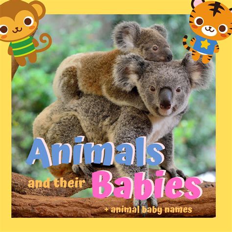 Animals and their Babies - I Can Read Pre Level 1: - With Baby Names of ...