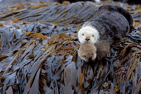 15 incredible PHOTOS of Kamchatka - Russia Beyond