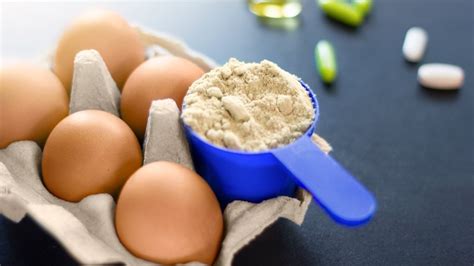 5 Best Egg Protein Powders - Aug. 2021 - BestReviews