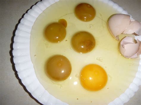 Green Egg Yolks