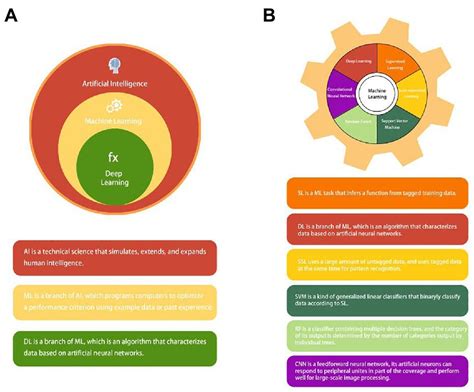 Frontiers | Application of artificial intelligence in diagnosis and treatment of colorectal ...
