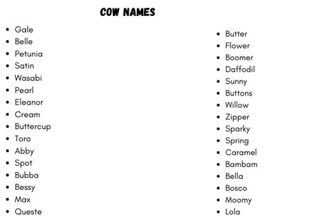 130+ Funny And Cool Pet Cow Names to Inspire You (2024)