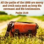 Psalm 25:10 KJV – KJV Bible Verses