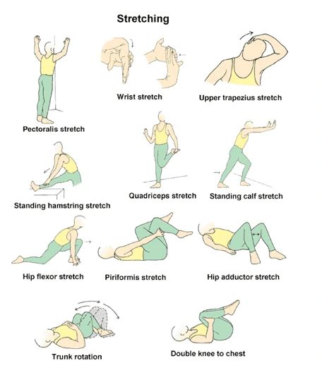 Stretching Exercises Fitness Workout Instructional Wall Chart Poster ...