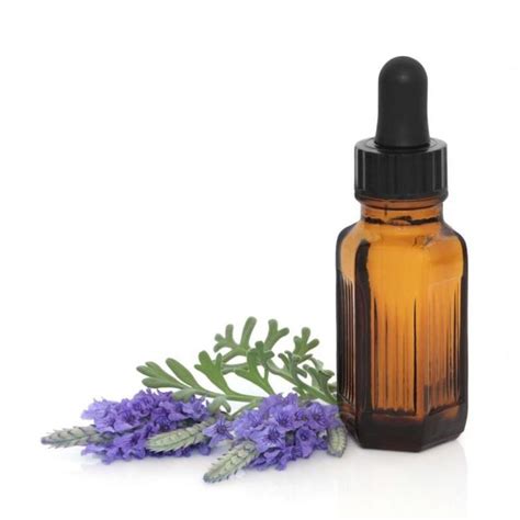 11 Best Essential Oils for Bed Bugs Bites Remedy - NaturallyDaily | Essential oils for skin ...