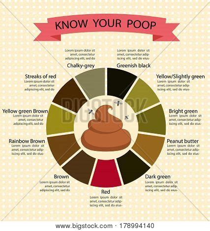 Poop Stool Color Vector & Photo (Free Trial) | Bigstock