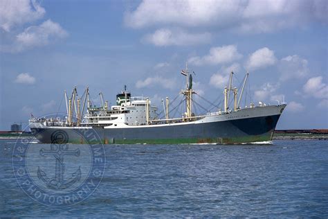 Ship Photo - 1958 Built Palm Line Ship ANDONI PALM - 6X4 (10X15 ...