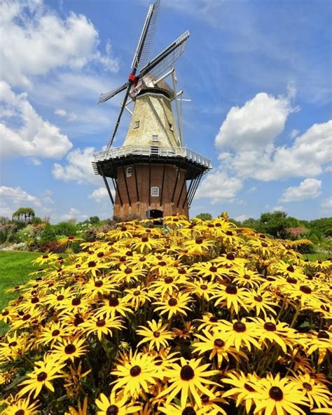 Windmill Island Gardens 2024: Go Inside the Holland Windmill, Learn Dutch Culture, View Gorgeous ...