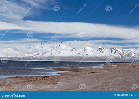 Lake Manasarovar in Western Tibet, China Stock Image - Image of mapham, hiking: 116490305