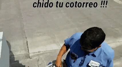 Chido GIF - Chido - Discover & Share GIFs