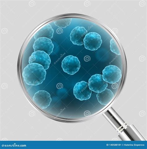 Vector Realistic Illustration of Blue Cocci Bacteria Cell Types Under Magnifying Lens Isolated ...