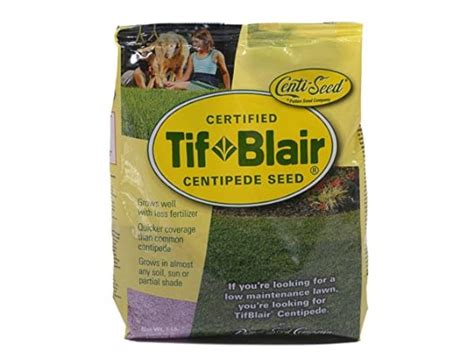 The 4 Best Centipede Grass Seed of 2024 (Reviews) - FindThisBest