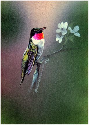 Bird Paintings, animal & wildlife paintings, paintings of animals ...