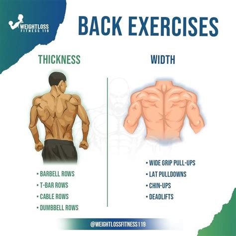 Back exercises in 2024 | Effective workout routines, Quick workout, Gym ...