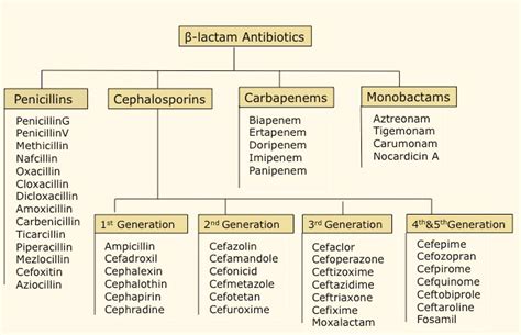 Cephalosporin Antibiotics Classification | My XXX Hot Girl