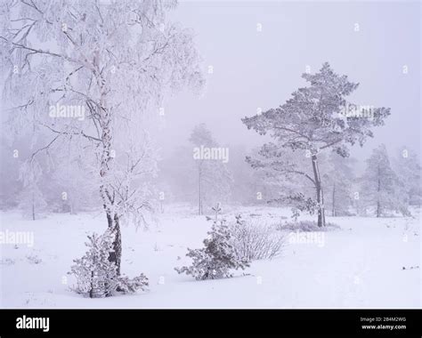 Bavarian rhoen nature park hi-res stock photography and images - Alamy