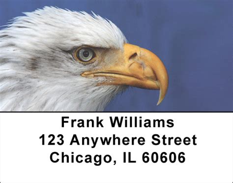 American Eagle Labels | American Eagle Address Labels at PersonalChecksUSA.com