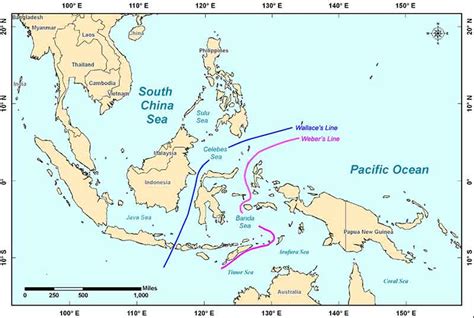 Celebes Sea Map