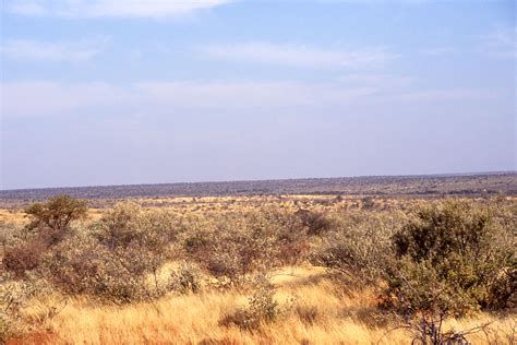 File:African.landscape.jpg - Wikipedia