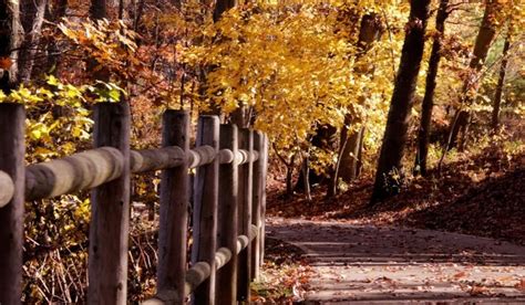 This Rhode Island Bike Ride Leads To Stunning Fall Foliage