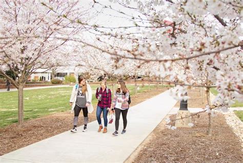 Lenoir-Rhyne University - Tuition Rewards by SAGE Scholars