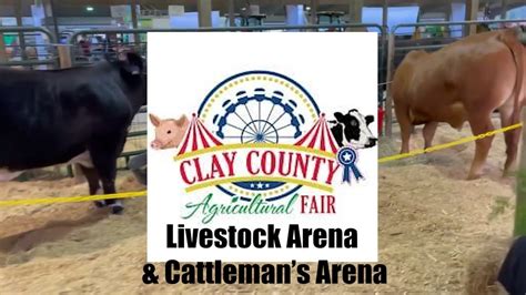 Clay County Fair | Livestock & Cattleman's Arena - YouTube