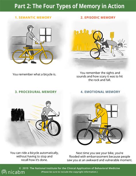 Understanding Trauma’s Impact on Four Types of Memory [Infographic]