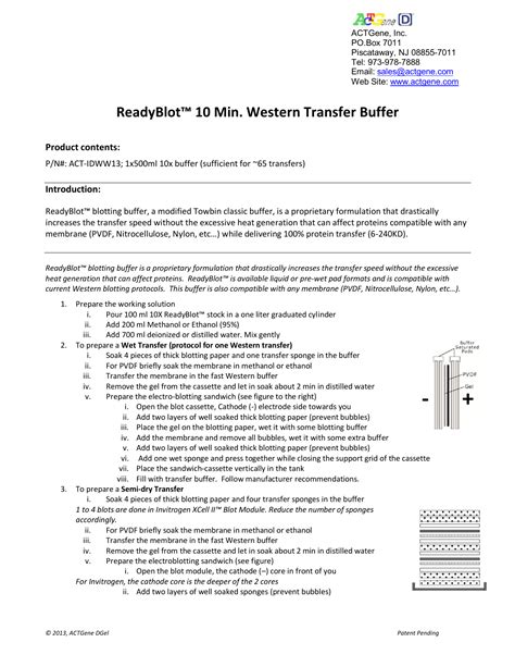 Transfer Buffer Western Blot Recipe - Banana-breads.com