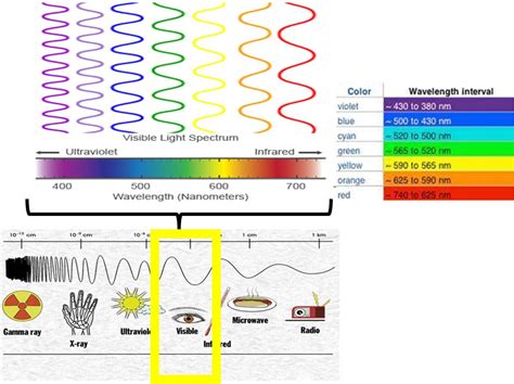 Pin by Jacqueline Calip on Colours | Visible light spectrum, Visible light, Electromagnetic spectrum