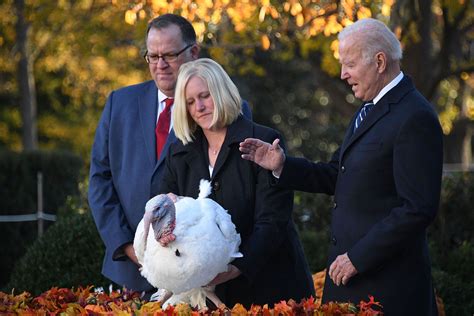 Biden Pardons Turkey at White House as Part of Longstanding Tradition