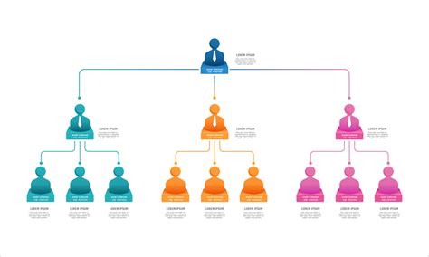 Business organization chart shows the names and positions within the ...