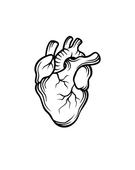 15 Easy Human Heart Drawing Ideas - Draw A Human Heart